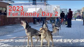 2023 Fur Rondy Alaska Sled Dog Race - Day #2 Coverage - Anchorage 4th Ave Mushing District ASDRA