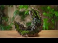 Creating Scenery on a Crescent Moon
