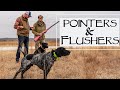 The Only Way To Hunt A Flushing Dog With A Pointer
