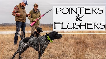 The Only Way To Hunt A Flushing Dog With A Pointer