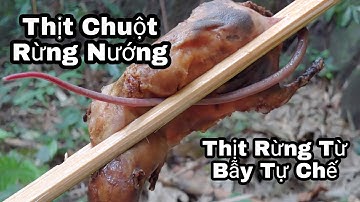 Thăm Bẫy Chuột Tự Chế Và Món Thịt Chuột Nướng Trong Rừng - Phong Tộc Vlog