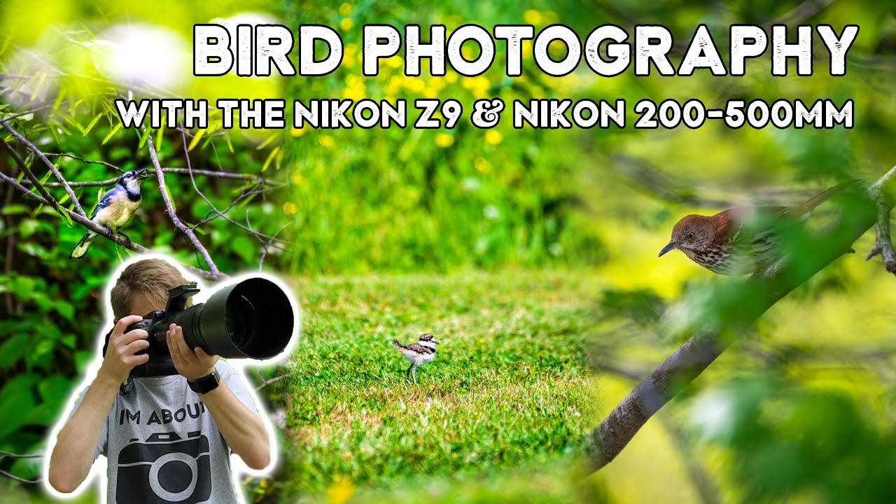 Bird Photography With The Nikon Z9 Nikkor 200 500mm Lens Nikon Z9 Vs bird-photography-with-the-nikon-z9-nikkor-200-500mm-lens-nikon-z9-vs