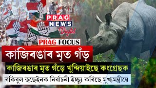 Rakibul Hussain failed to save rhino | Why Rakibul is silent