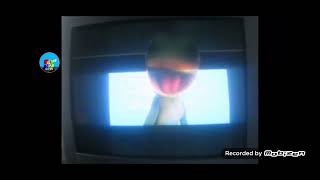 Buffalo Poops On S Window Sequel