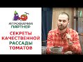 СЕКРЕТЫ КАЧЕСТВЕННОЙ РАССАДЫ ТОМАТОВ