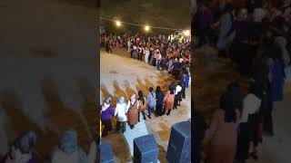 Gövdeli Yi Coşturan Halay Potpori