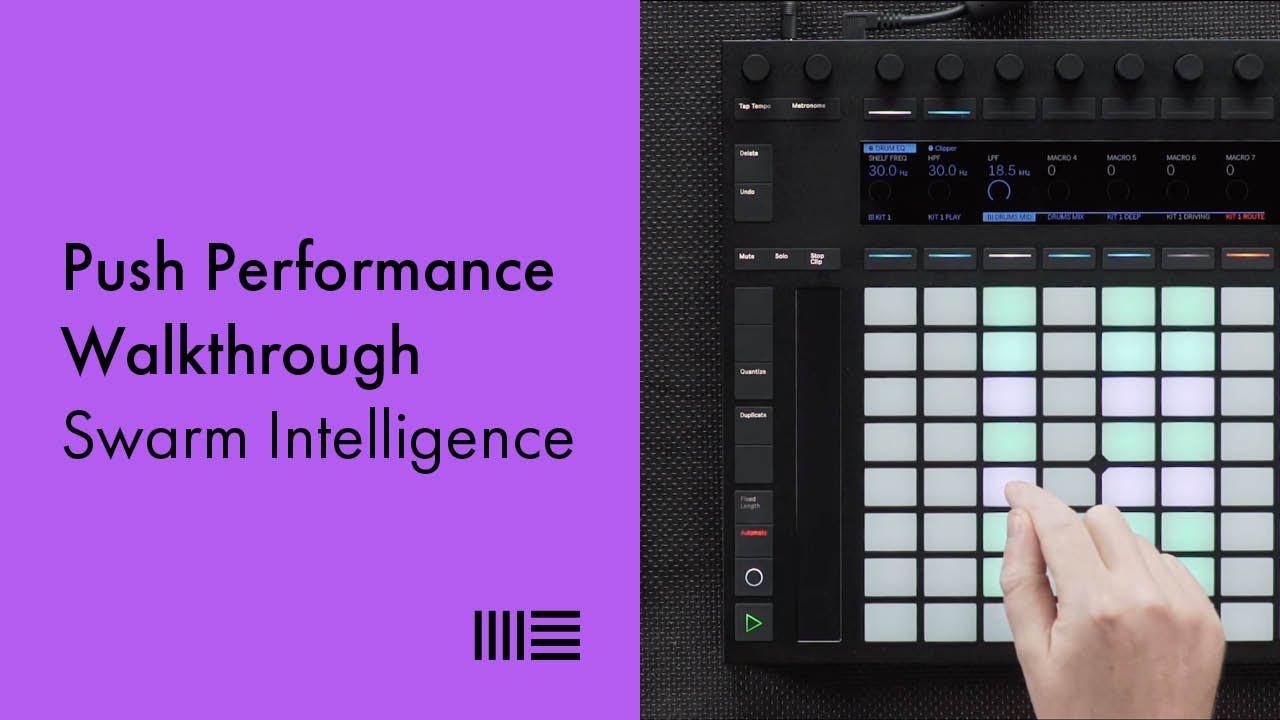 Swarm Intelligence Push 2 Performance Walkthrough