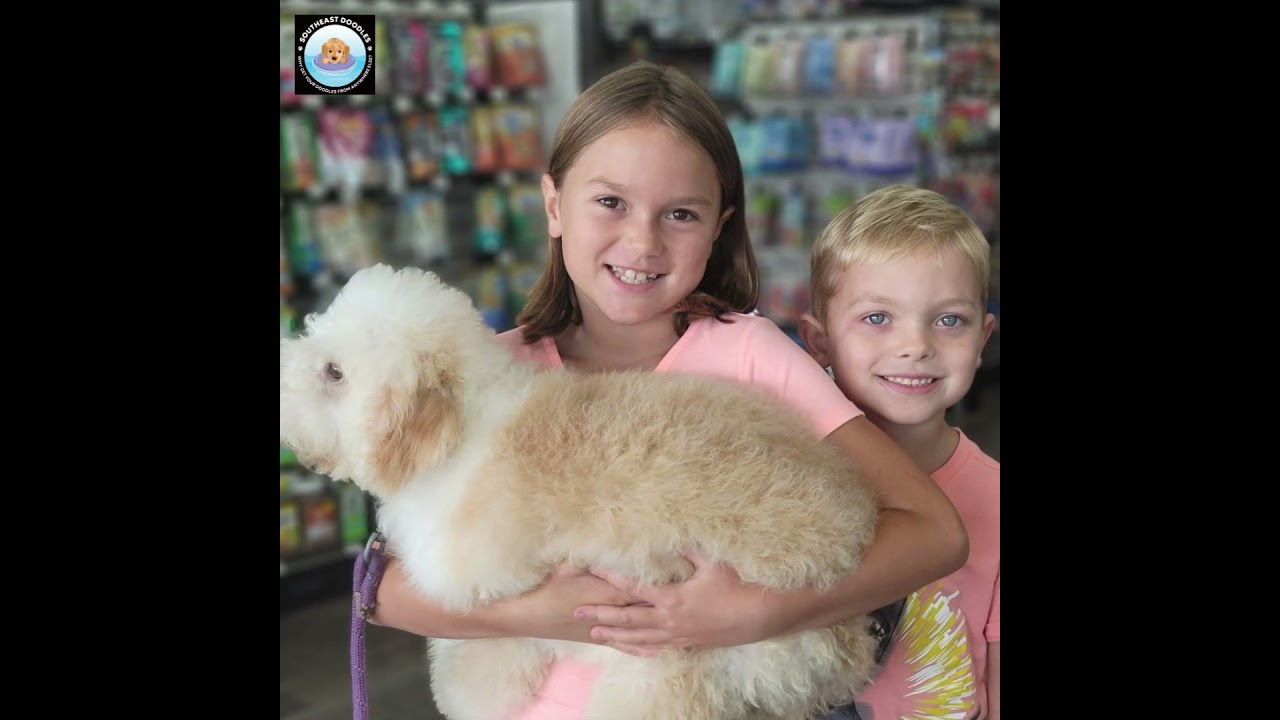 Watch our behind-the-scenes look at how we raise our puppies