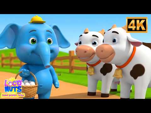 Loco Nuts - Ali Babanın Bir Çiftliği Vardı | Çocuklar İçin Eğlenceli Çocuk Şarkıları