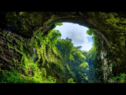 Beautiful Pictures (HD1080p)