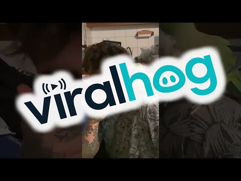 Bird Grooves to