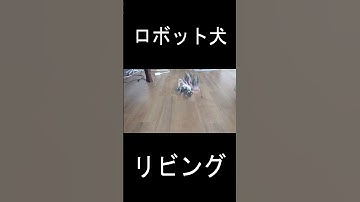 #m5stack  #robot #robotics #電子工作 #ESP32  #ロボット #ロボット犬