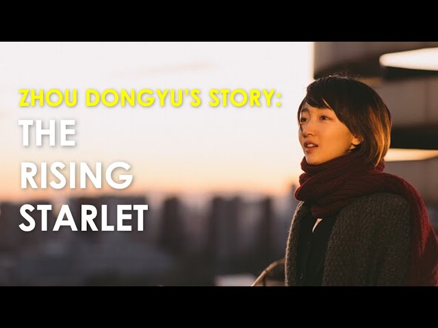 How Chinese actress Zhou Dongyu rose from rookie to starlet – and