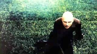 Watch Smashing Pumpkins In My Body video