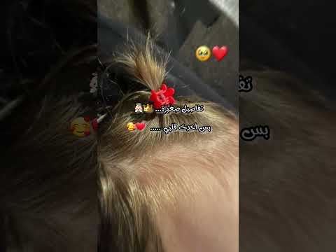 تفاصيل صغيرة اخدت قلبي بنتي روحي ابني ولادي حالات منوعة حالات واتس تيك توك بنتى