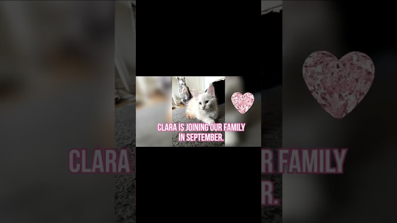 We’ve been keeping a secret… 