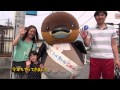 2014 08 06放送 知ったかぶりカイツブリにゅーす