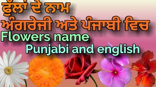 Flowers Name In Punjabi And English Youtube