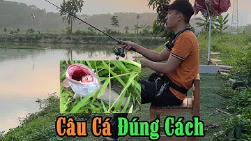 Đi câu lure đúng cách câu cá như thế này bảo sao chả sướng - Câu Cá Edu