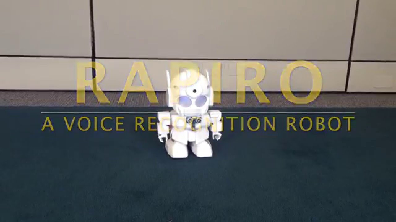 rapiro robot