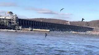 Conowingo Dam Harford county