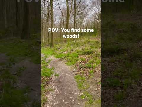 Friston Forest, East Sussex #explore #trend #trending #shorts #short #hiking #walking #shortvideo