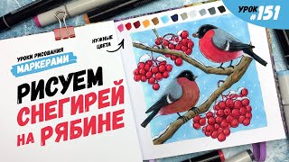 картинка: Как нарисовать снегирей на рябине? / Видео-урок по рисованию маркерами #151