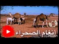انغام الصحراء 
