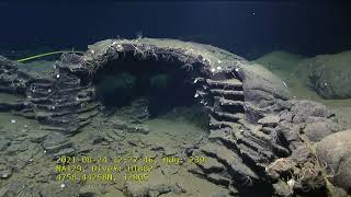 Rov Hercules Dive Na129 H1882 6 Of 11 2021 08 24 12 14 58 452 Utc 33