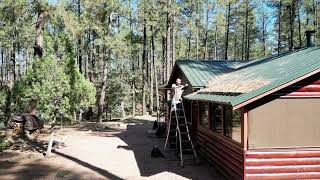Starlink - Tree installation