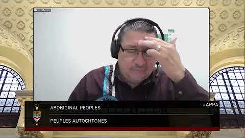 2021-05-14 APPA on Bill C-15 Questions Sen Patterson (panel 4, Q: 2)