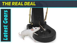 Kat Sense XXL Rat Trap: BEST Trap for Rats, Squirrels, Chipmunks