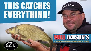 Catch All The Fish On Chopped Worm, Caster & Groundbait | Will Raison Fishing