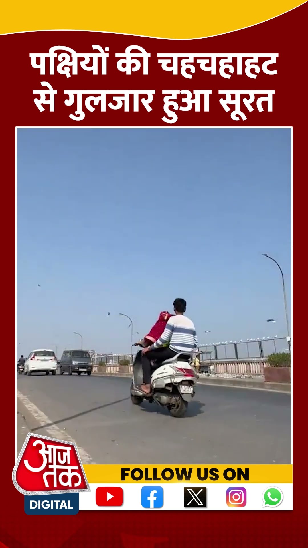 Migratory Birds की चहचहाहट से Surat हुआ गुलजार | #shorts #shortvideo #viralshorts