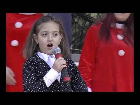 ,,აქ ემღერება გულს\' - ნინო მსხილაძე