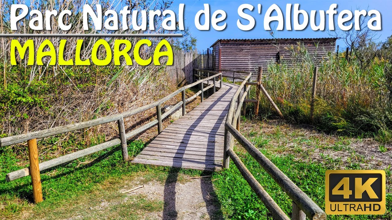 Mallorca | Top Parc Natural | for doing Best Photos | S'albufera | ASMR | 4K | only silence, peace |