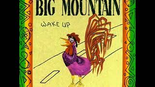 big mountain peaceful revolution 1992
