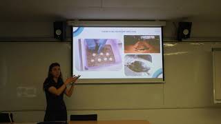 Xerrada de Berta Zanuy: L’afectació de la contaminació lumínica en els hàbitats dels animals marins