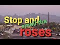 Stop and smell the roses.