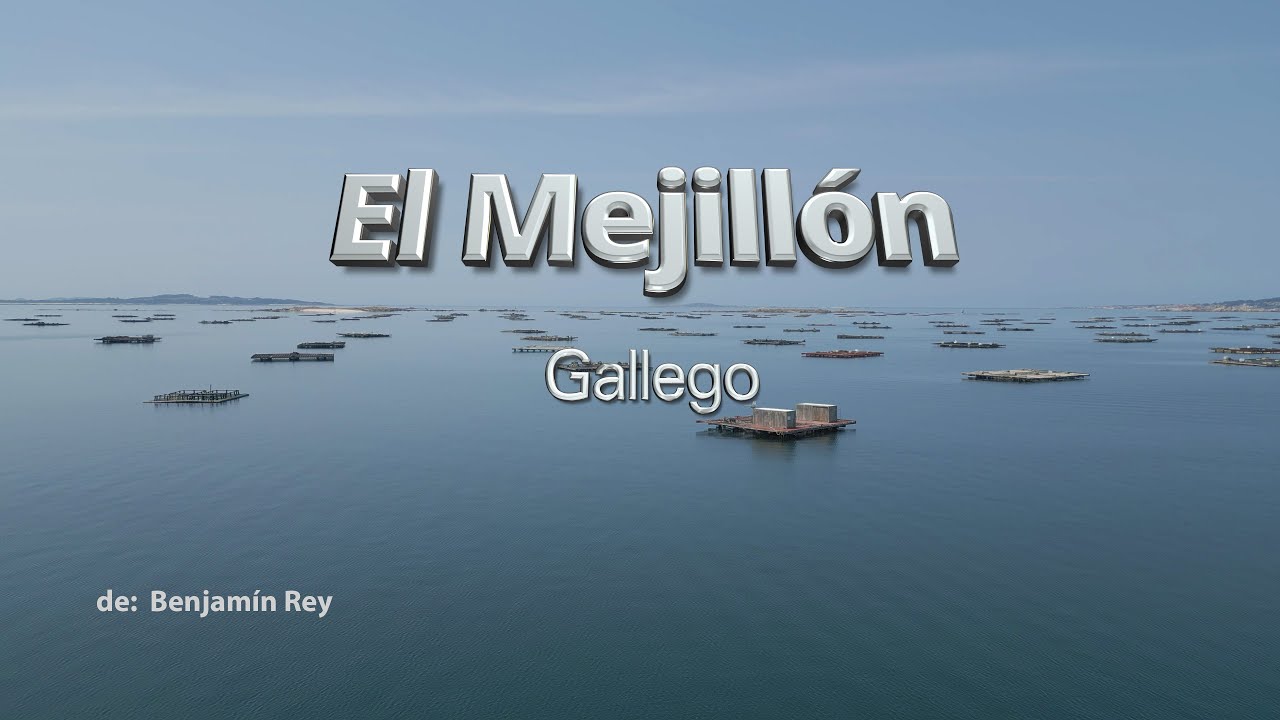 El Mejillón Gallego
