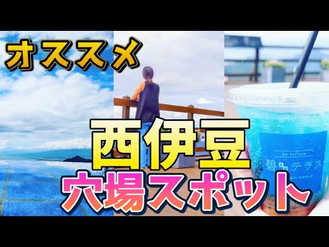 【日帰りオススメルート】西伊豆観光〜伊豆パノラマパークの旅