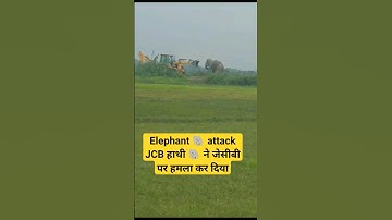Elephant 🐘 Attack JCB #elephant #viral #youtubeshorts #video #reels #trending #shorts #short #india