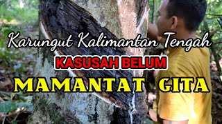 Karungut Kalimantan Tengah - (Kasusah Belum) Mamantat Gita, Vocal. Ojos/ Wisono Sampaga
