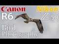 Canon R6 & Nikon Z50 Bird Photography   4K