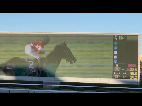 レッドベルオーブ　【デイリー杯２歳Ｓ】最後直線　現地撮影
