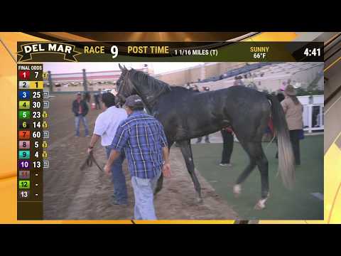 Race 9 Thumbnail