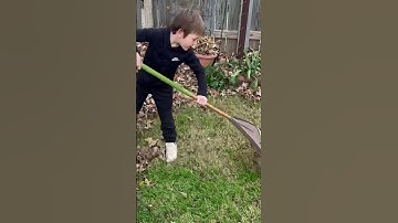 Extreme detailed leaf cleanup! Even the acorns were no match for the PB9010 #acorns #asmr #echo