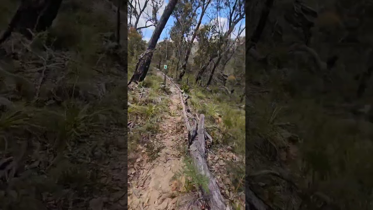 Blue Goat's Backyard Marathon - Last One Standing Endurance Race (LOSER) Training Lap.