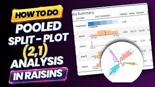 RAISINS Pooled Split - Plot ( 2,1 ) Analysis Quick Tutorial 
