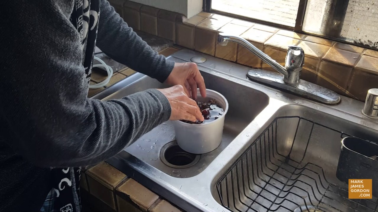 HOW TO WASH FRUIT & VEGGIES PROPERLY